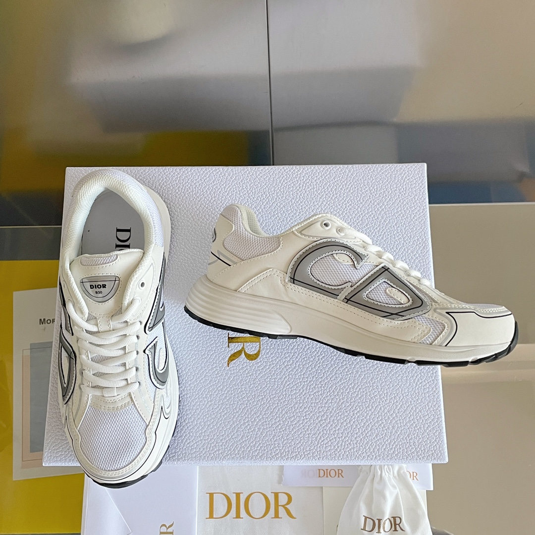 Dior B30 Dad Sneakers White (AAA High Quality Version)
