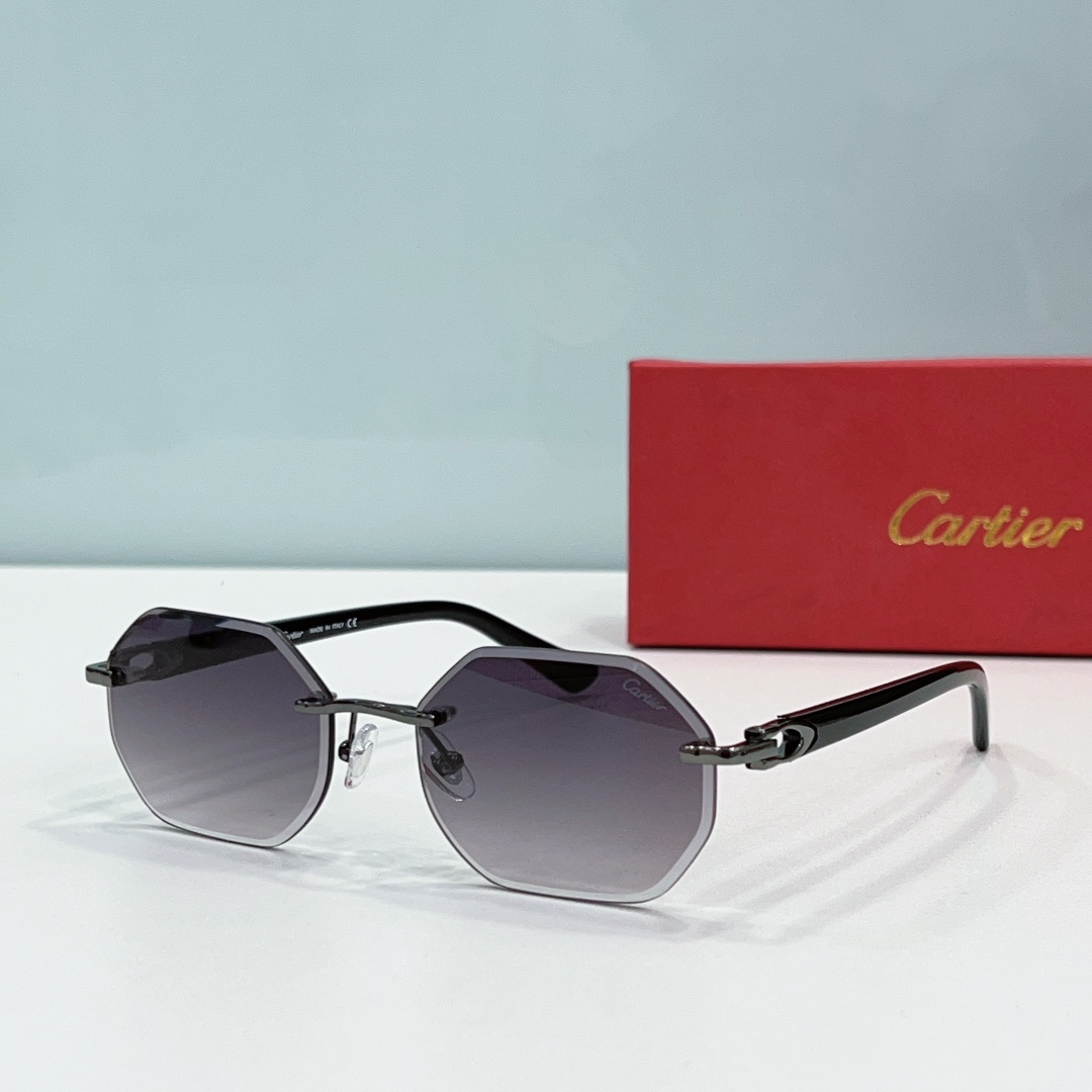 Cartier Metal Leg Rimless sunglasses Top quality (Replica)