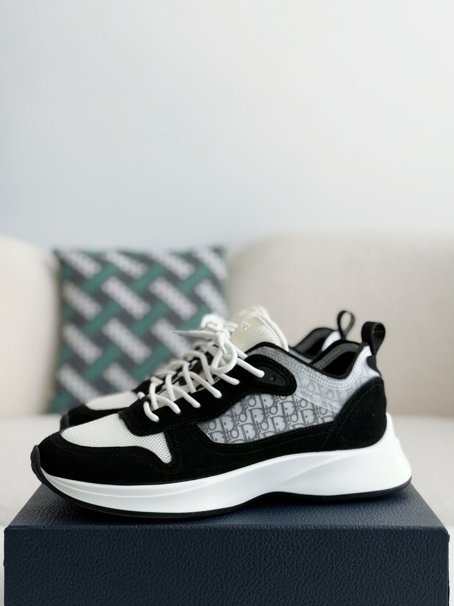 Dior B25 Sneakers Shoes