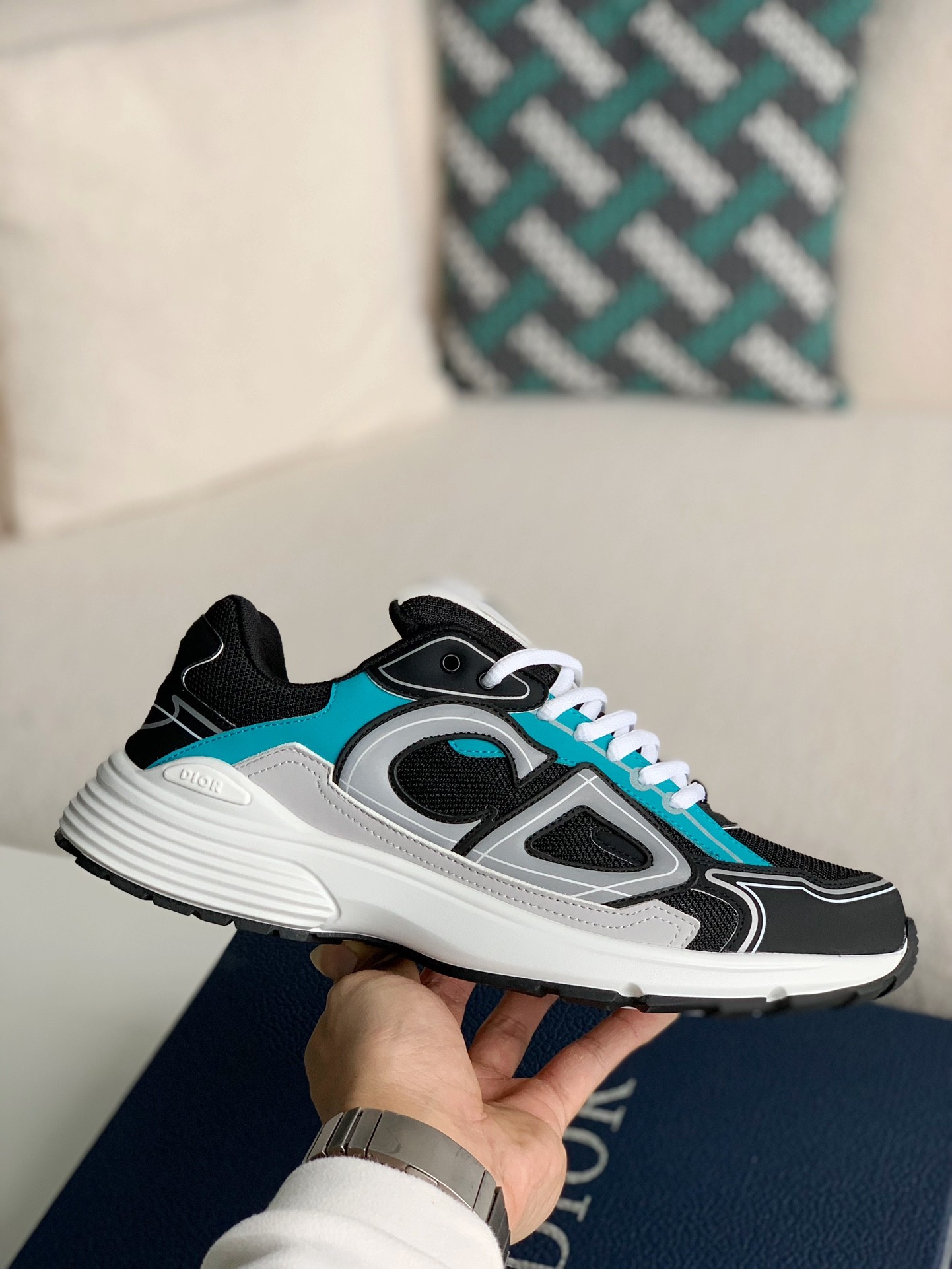 DIOR B30 Clunky Classic Sneaker Shoes
