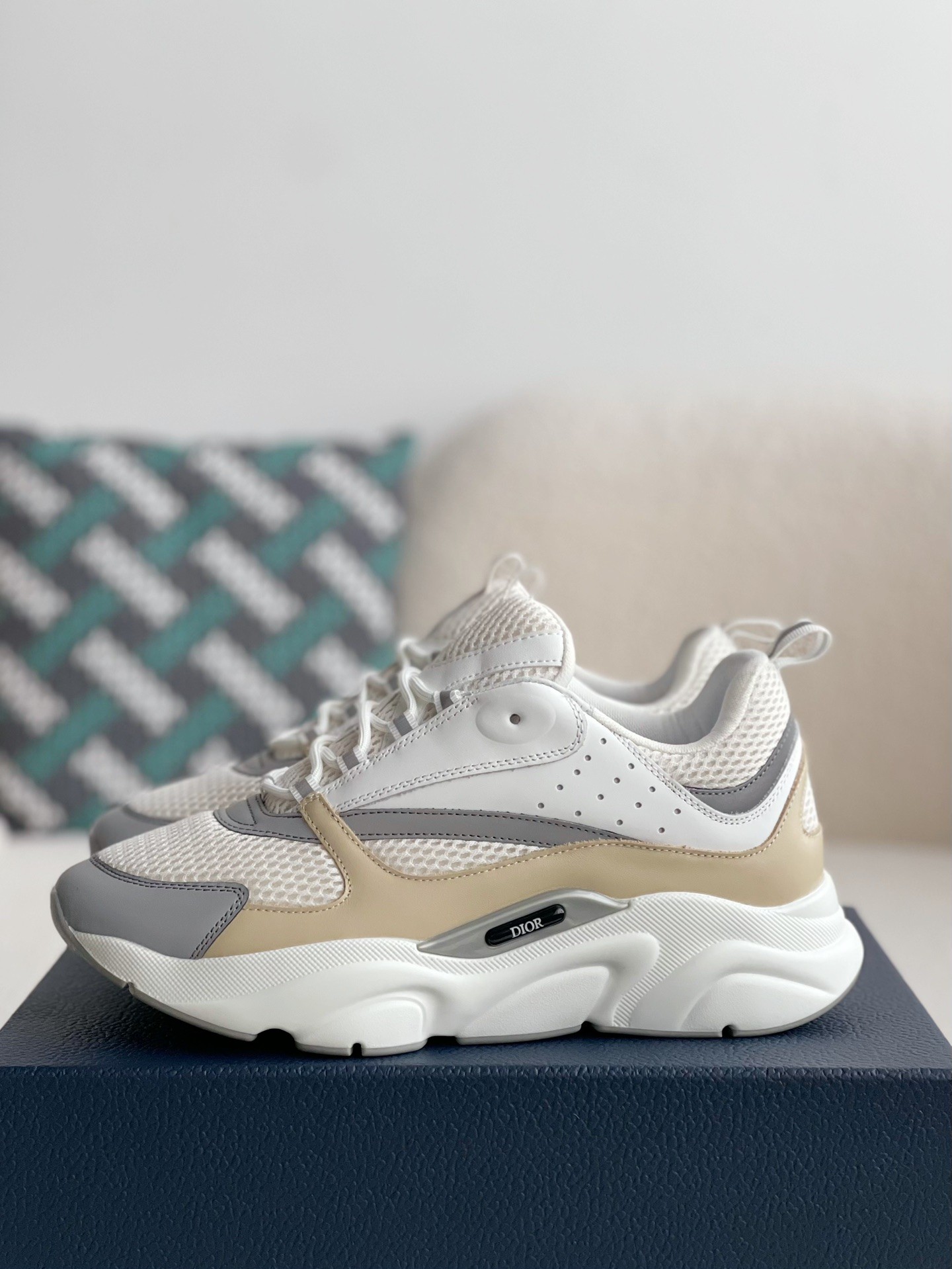 DIOR classic B22 Clunky Sneaker Shoes