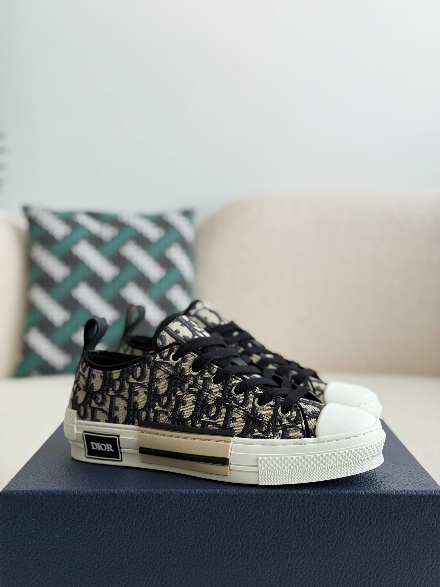 Dior B23 logo print low top sneakers Shoes