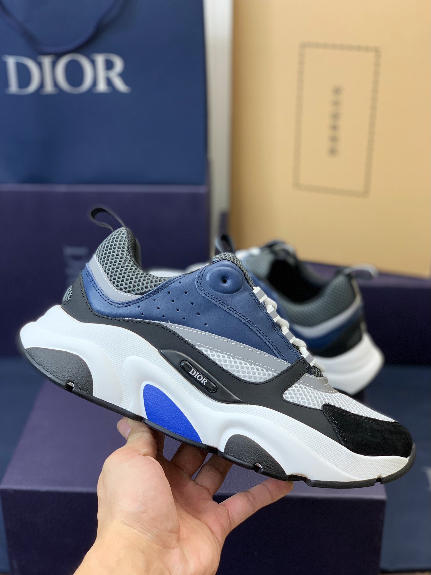 DIOR classic B22 Clunky Sneaker Shoes