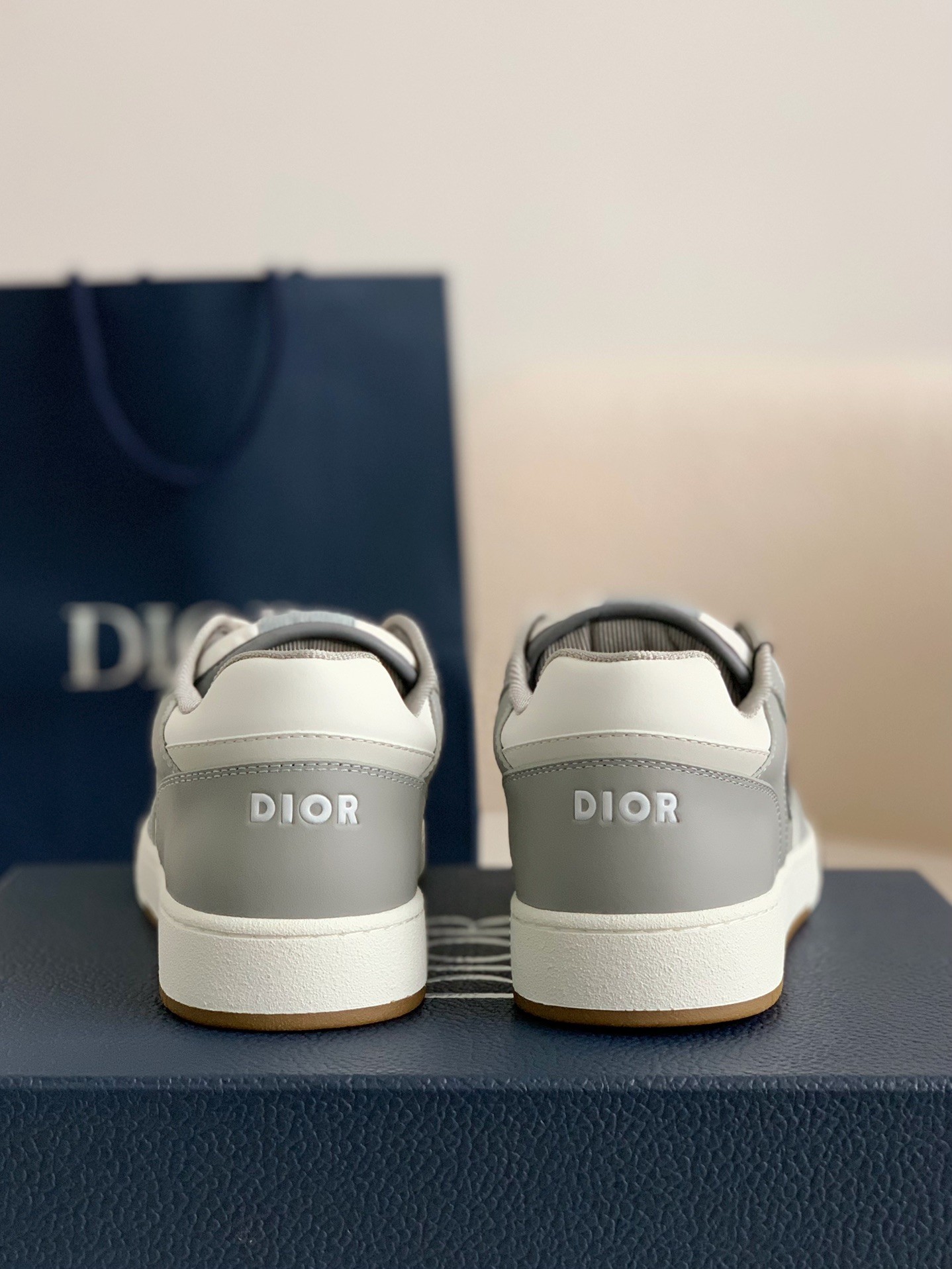 DIOR HIGH LEVEL B27 Sneaker Shoes