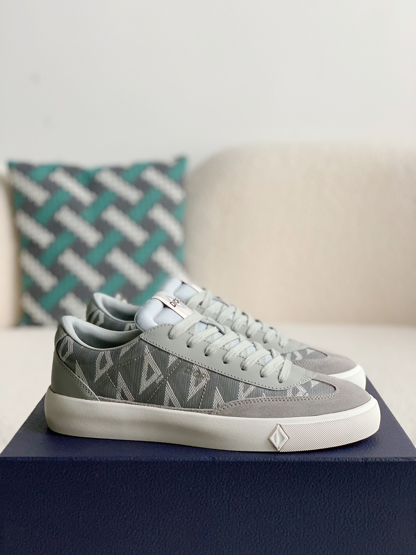 Dior B101 Sneaker Shoes