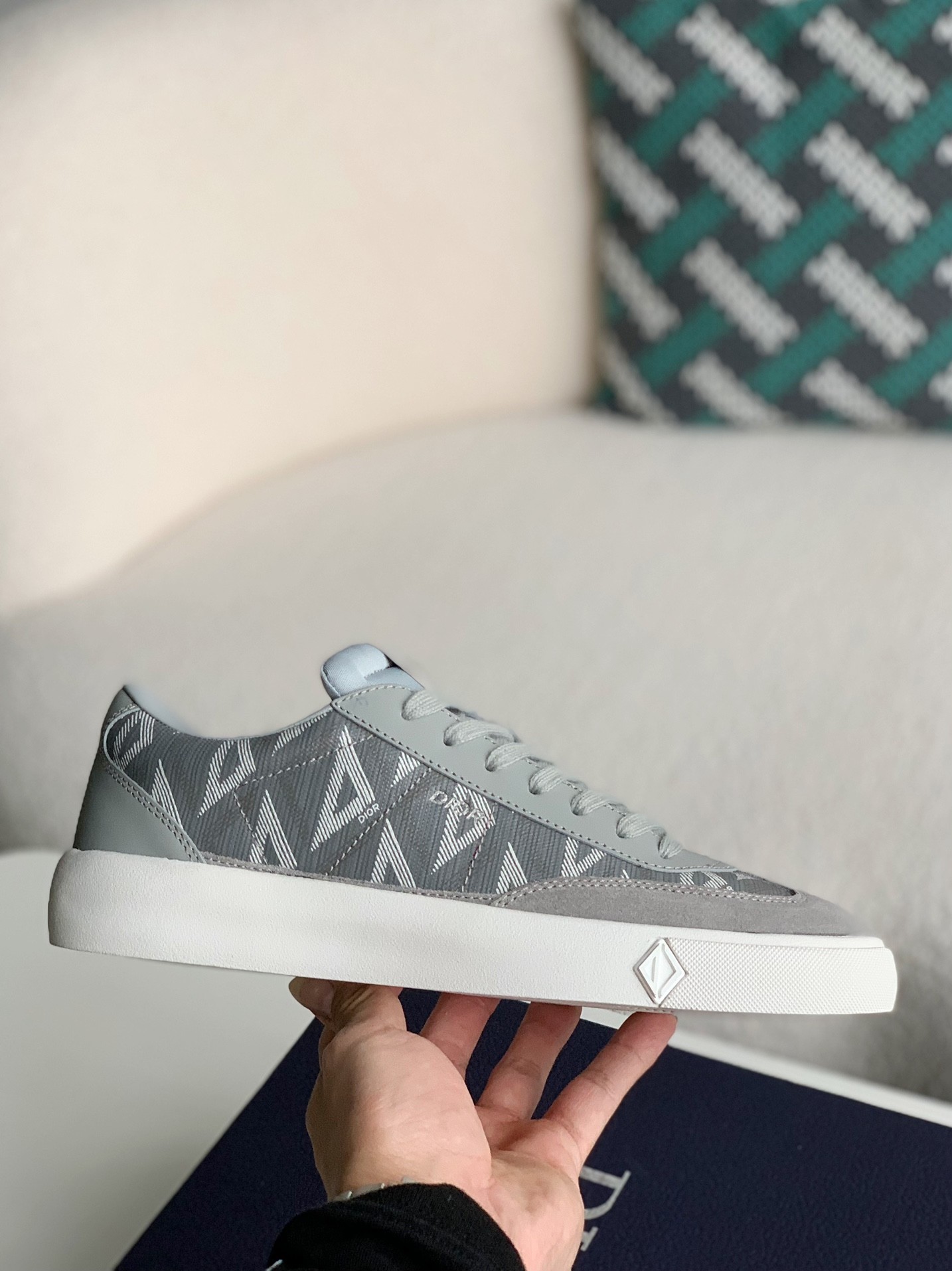 Dior B101 Sneaker Shoes