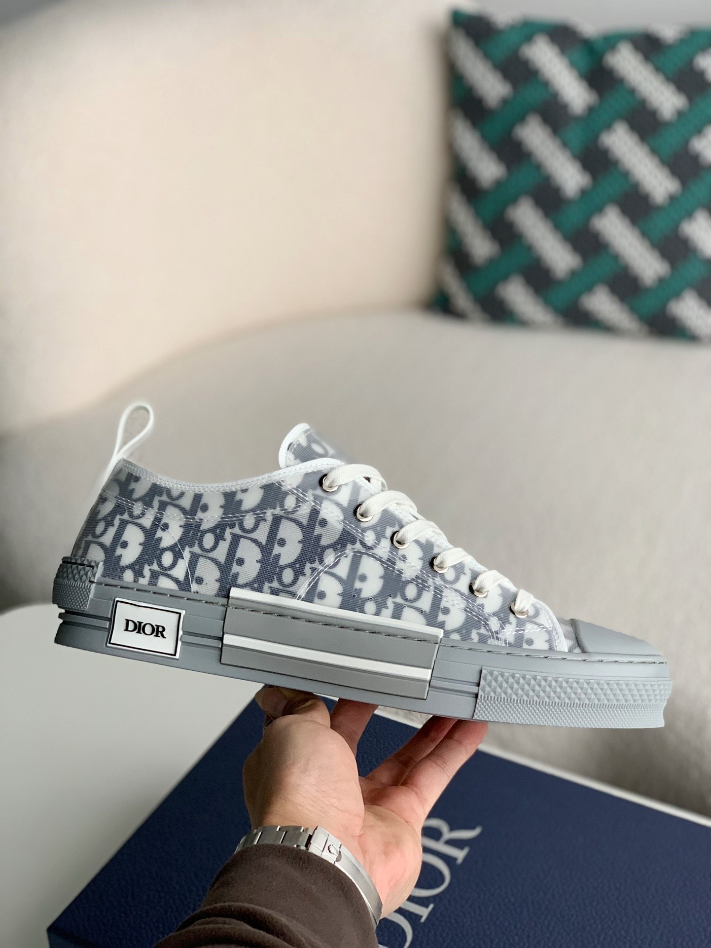 Dior B23 low Sneaker Shoes