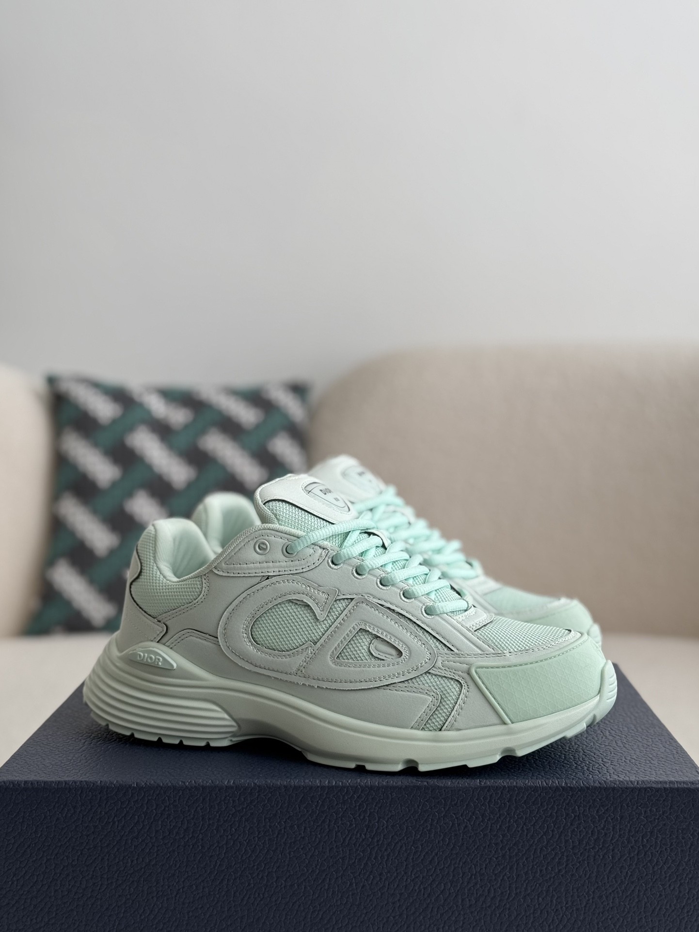 Dior B30 New Sneaker Shoes