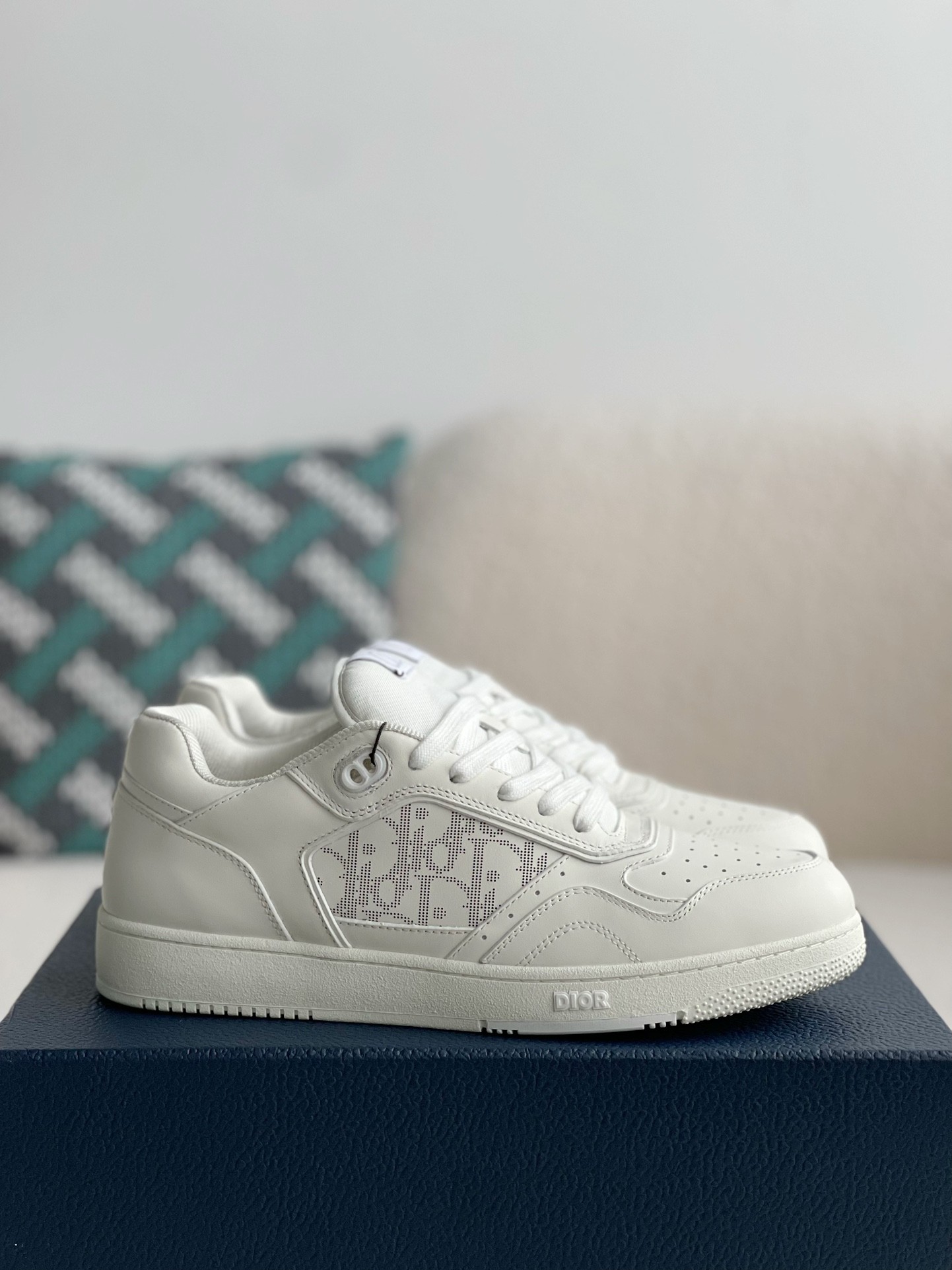 DIOR HIGH LEVEL B27 Sneaker Shoes