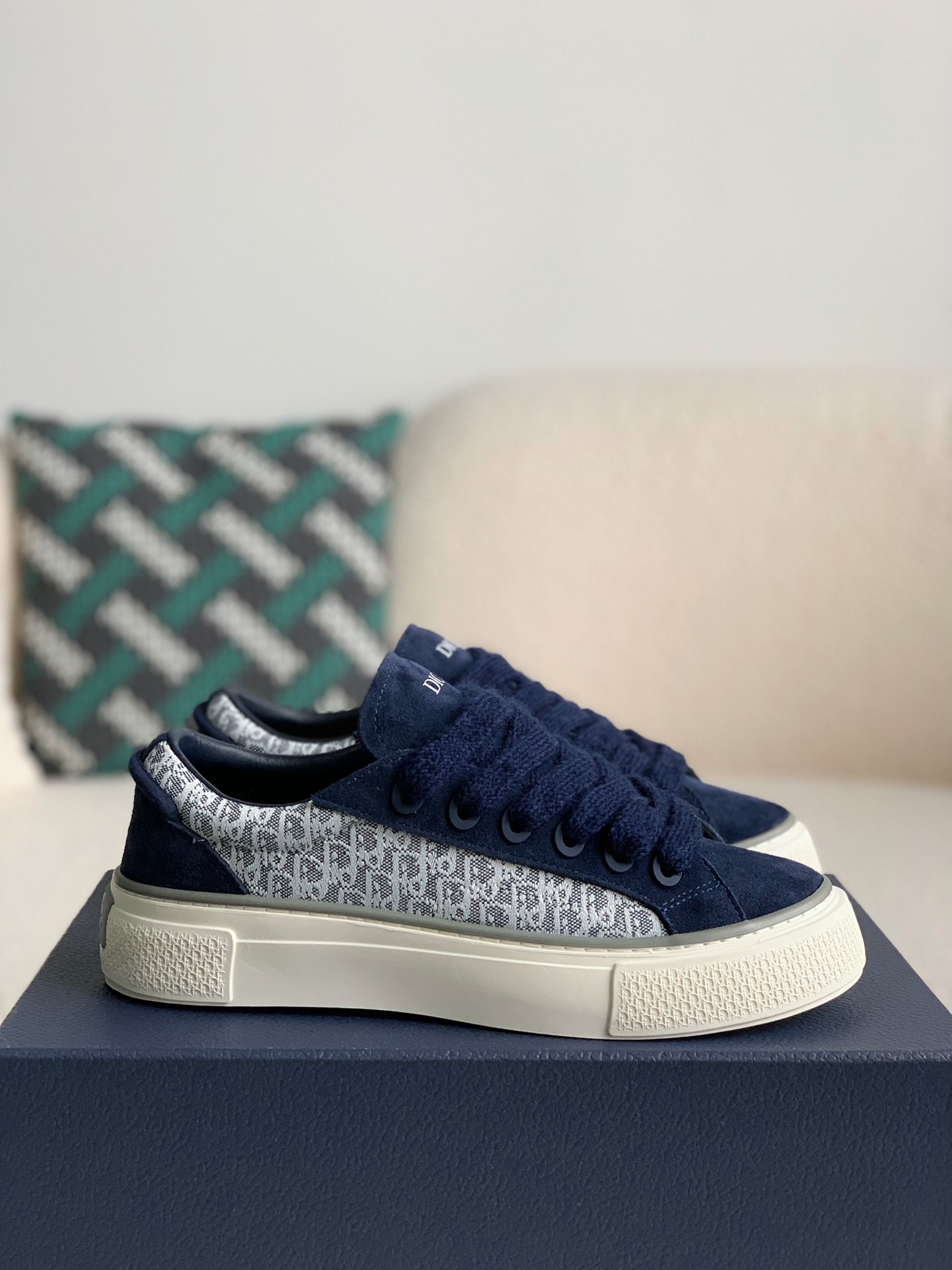 DIOR New B33 Sneaker Shoes