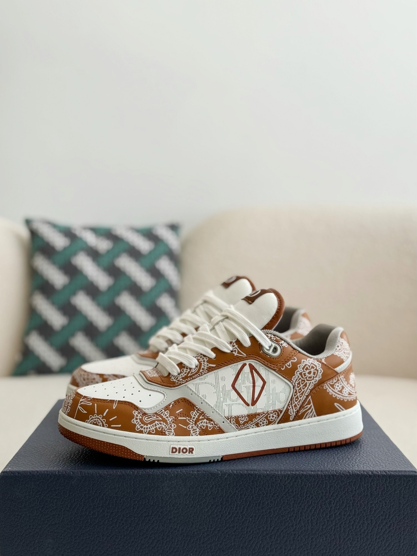 DIOR HIGH LEVEL B27 Sneaker Shoes