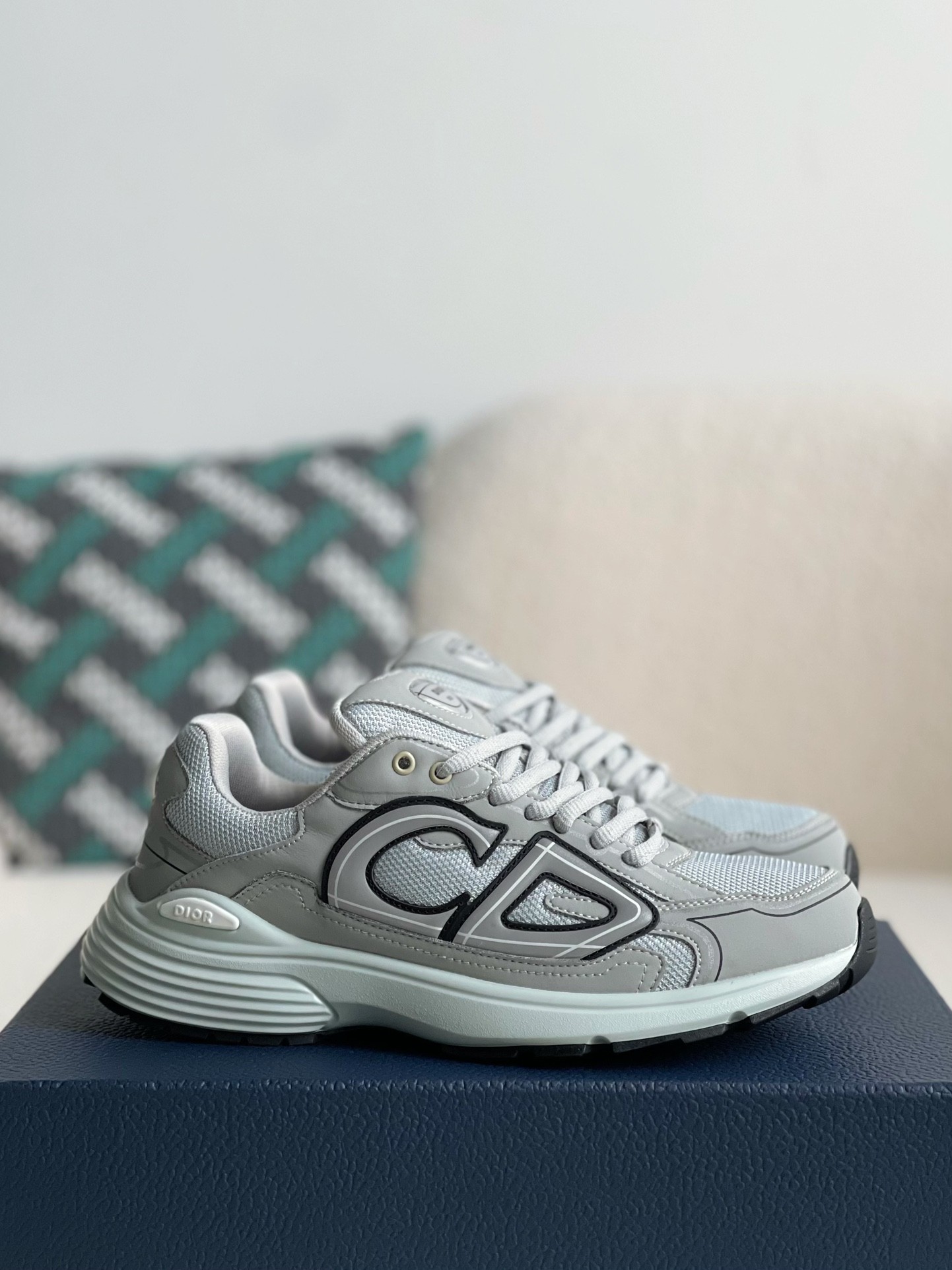 DIOR B30 Clunky Classic Sneaker Shoes