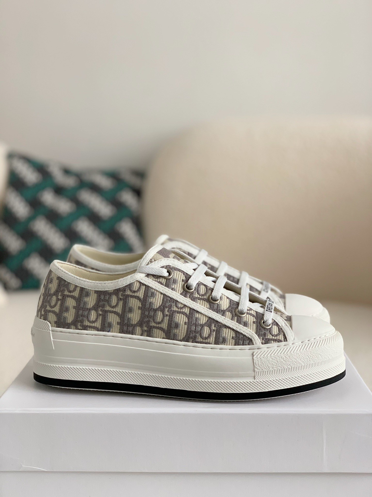 Dior B23 low Sneaker Shoes