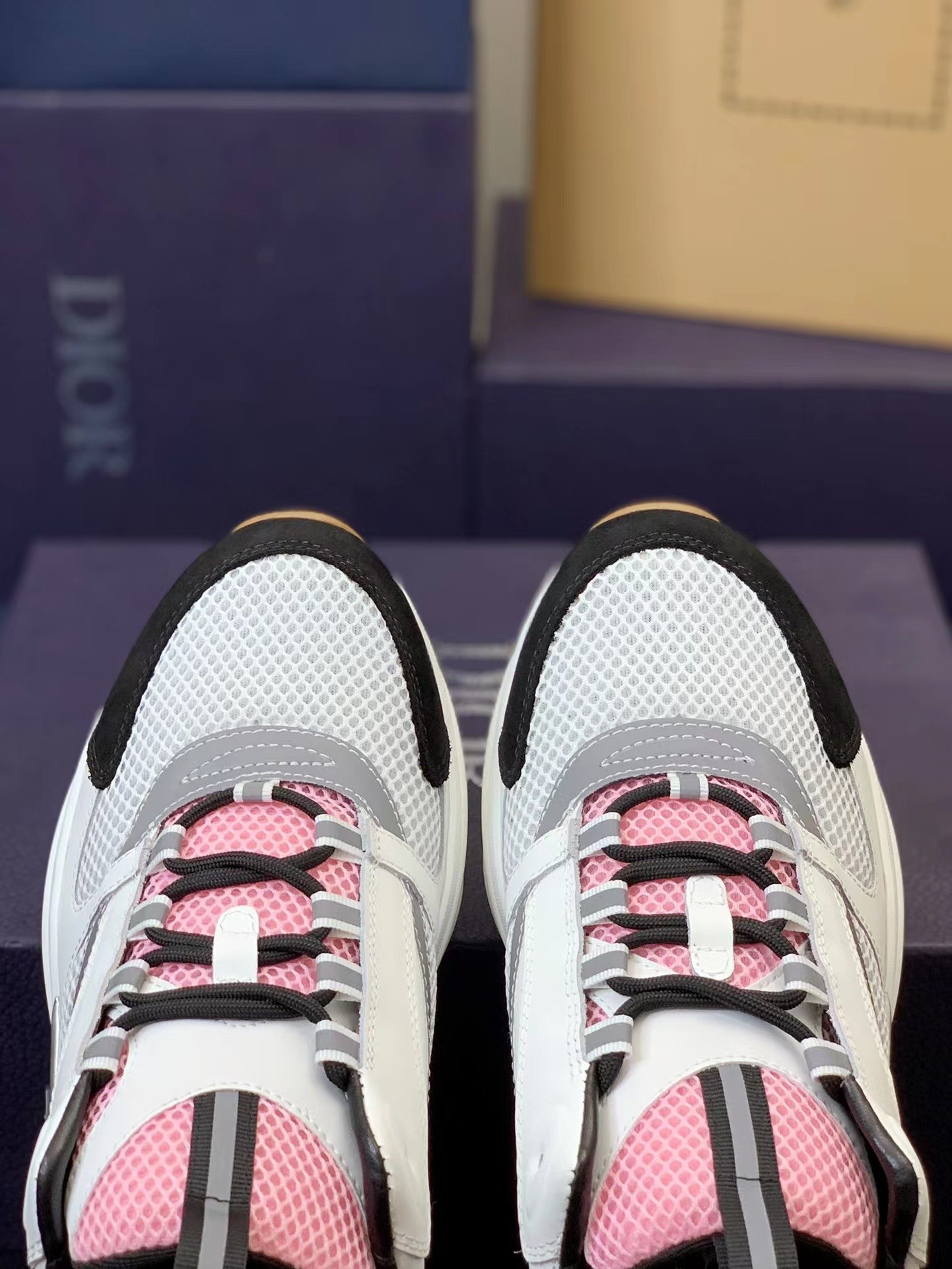 DIOR classic B22 Clunky Sneaker Shoes