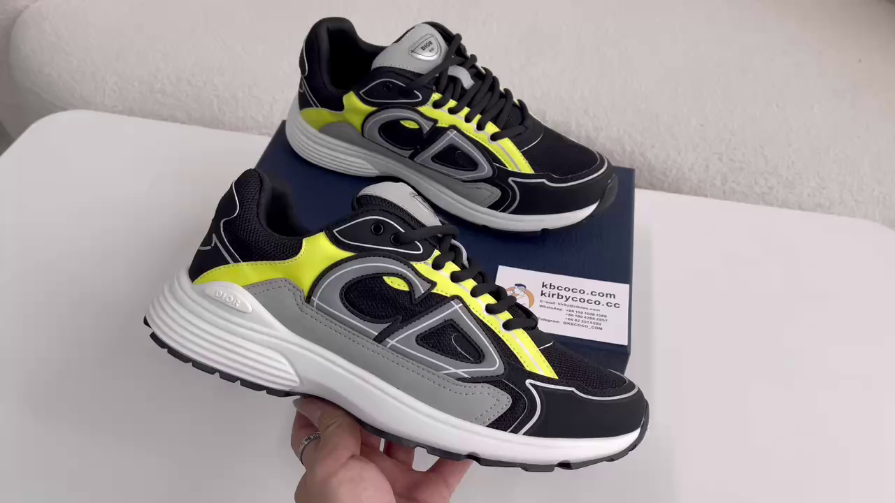 Dior B30 New Sneaker Shoes