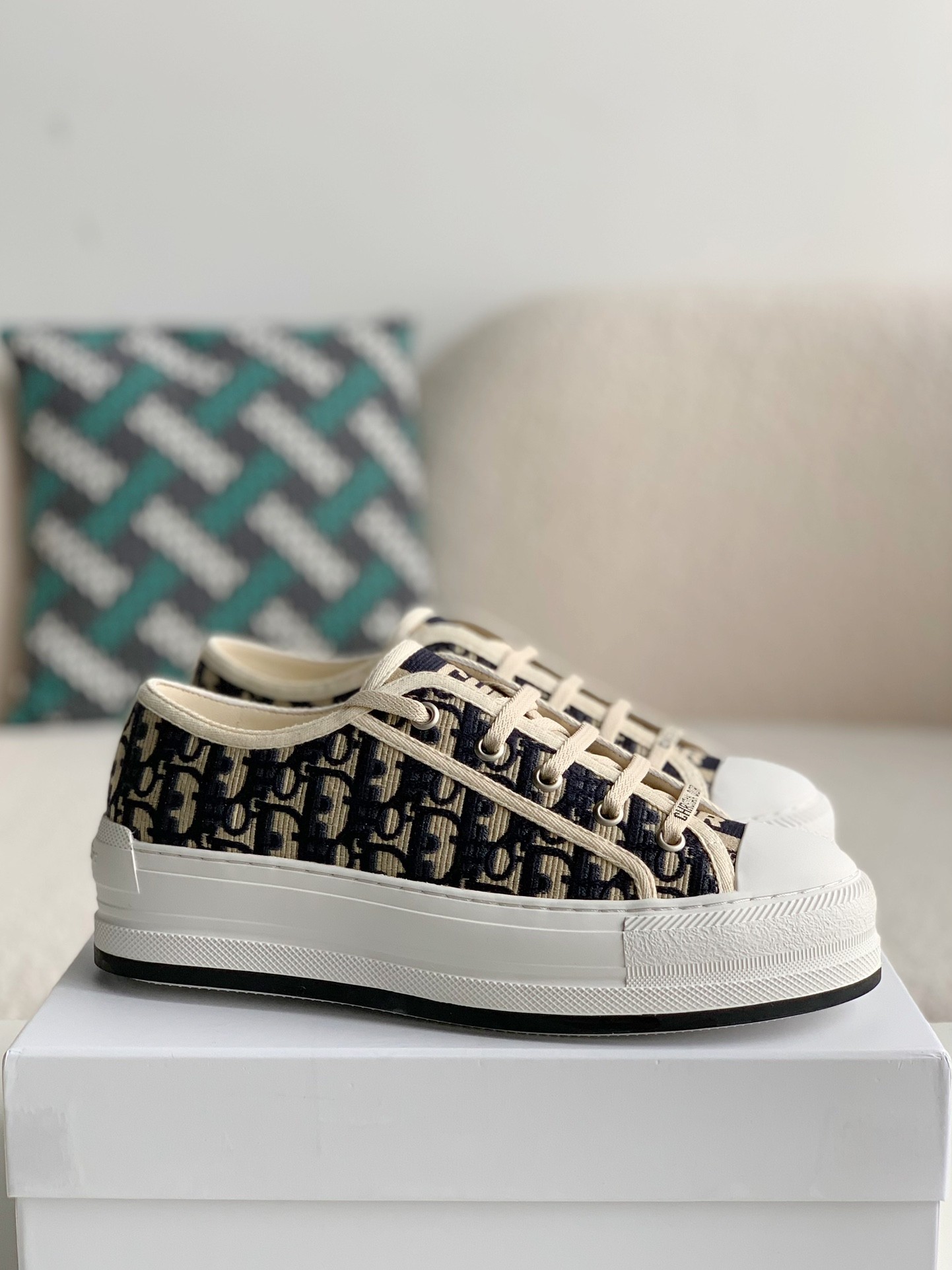 Dior B23 low Sneaker Shoes