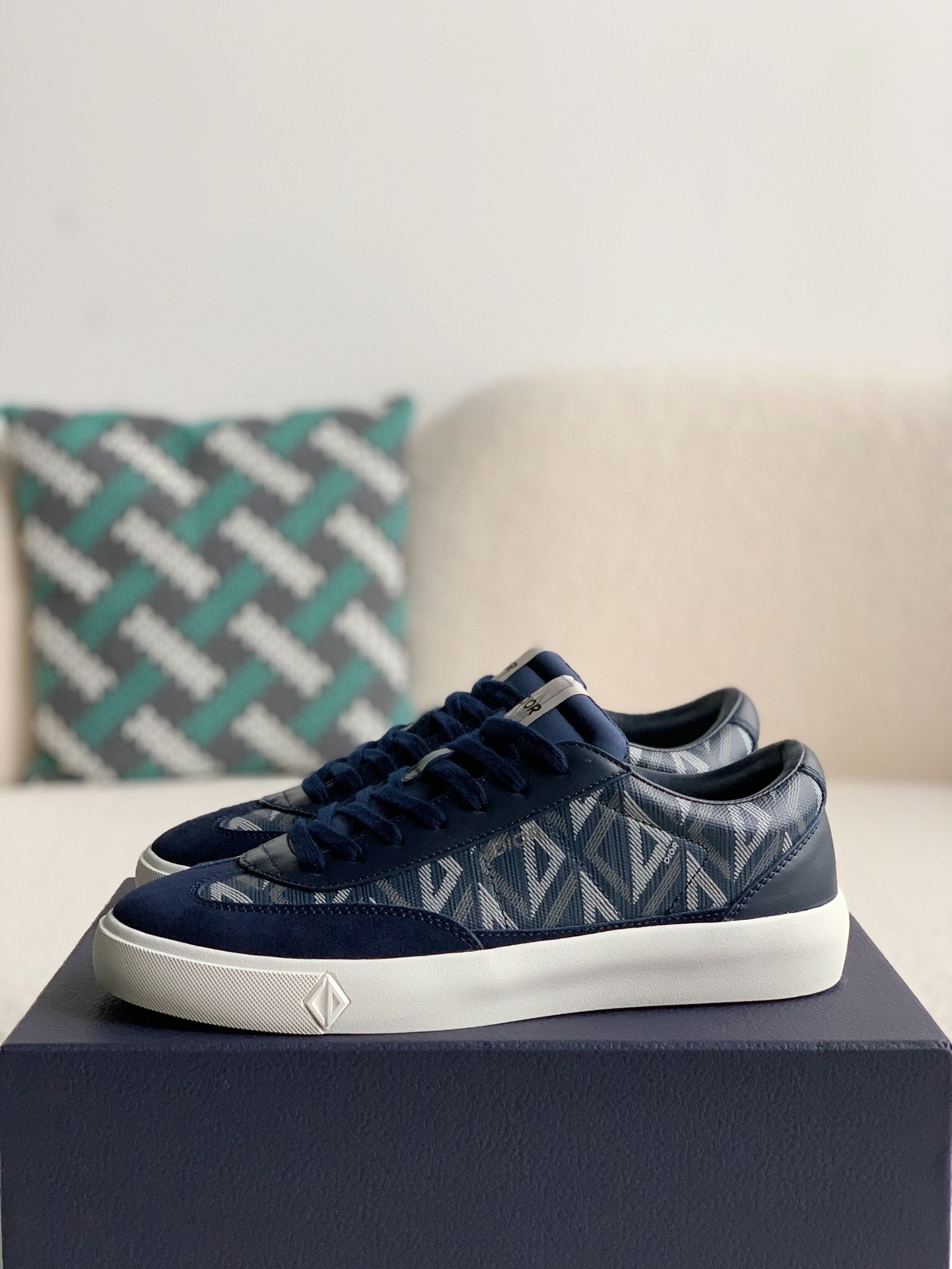 Dior B101 Sneaker Shoes