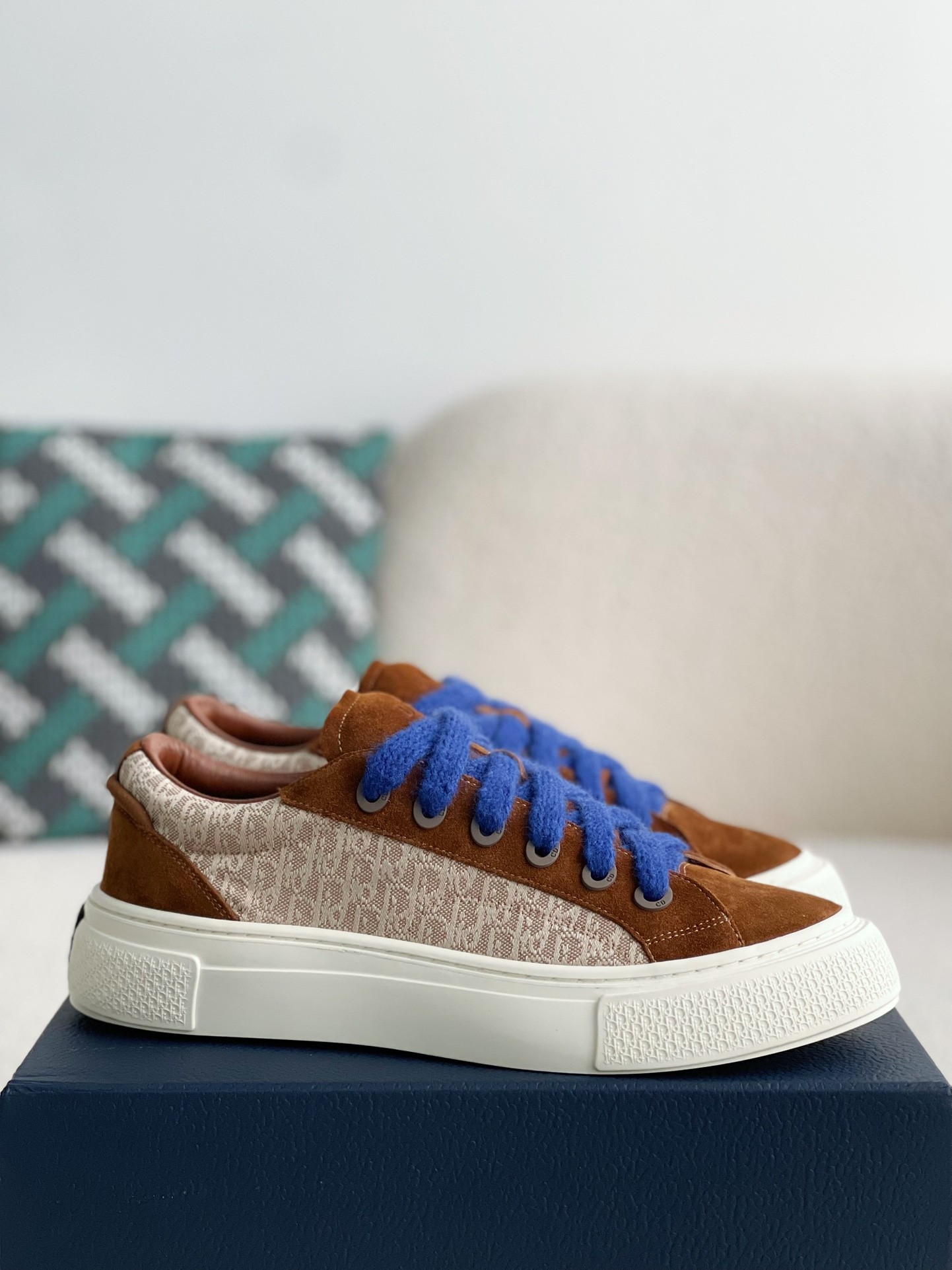 DIOR New B33 Sneaker Shoes