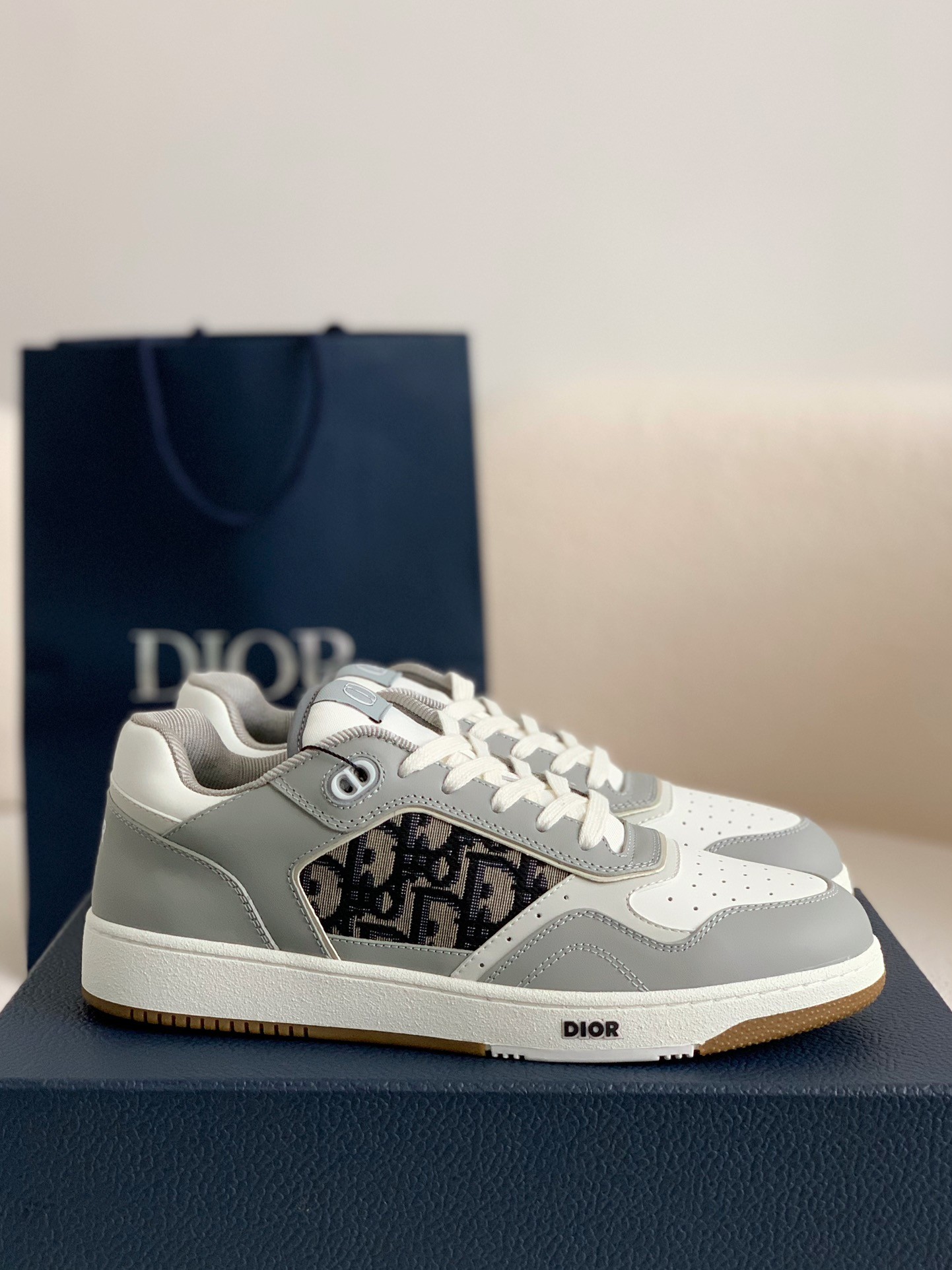DIOR HIGH LEVEL B27 Sneaker Shoes