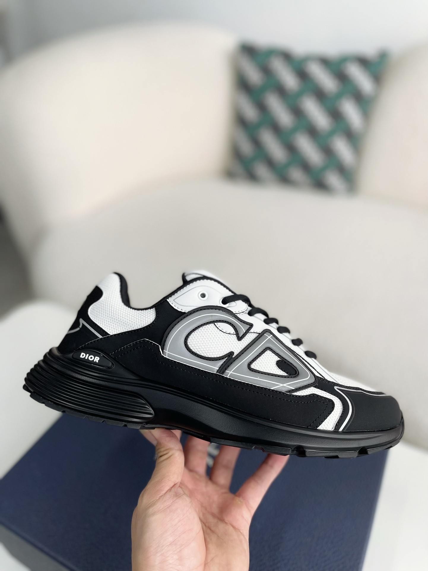 Dior B30 New Sneaker Shoes