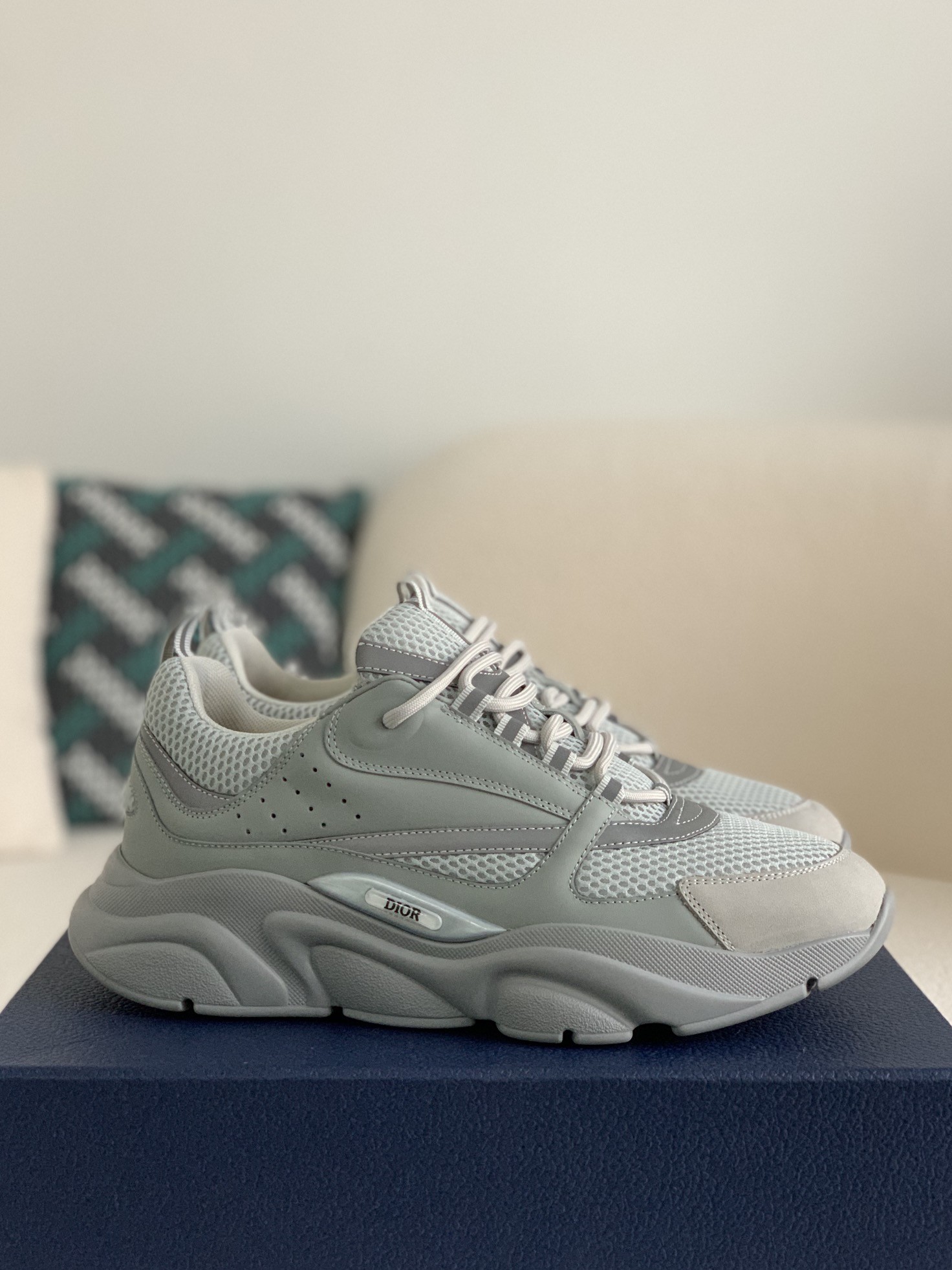 DIOR classic B22 Clunky Sneaker Shoes