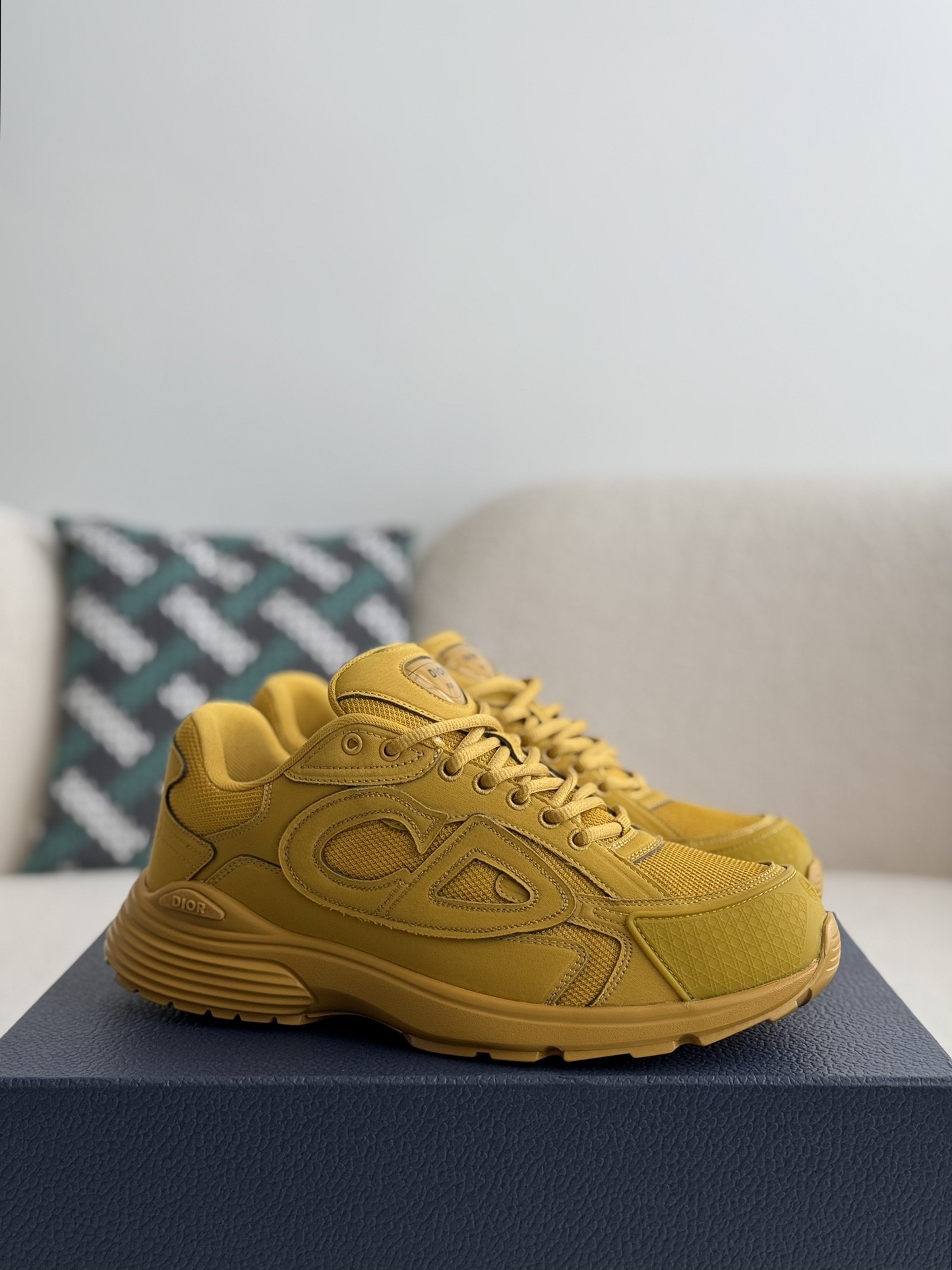 Dior B30 New Sneaker Shoes