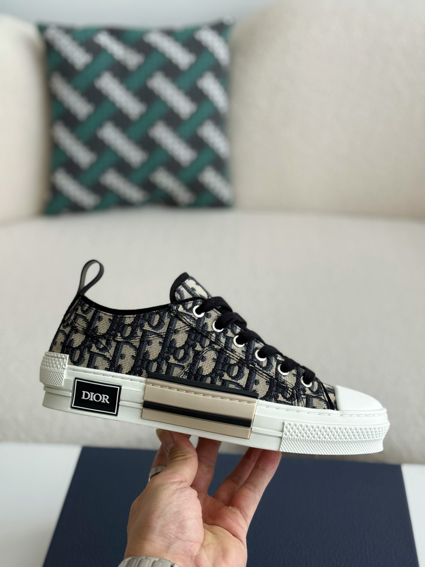Dior B23 logo print low top sneakers Shoes