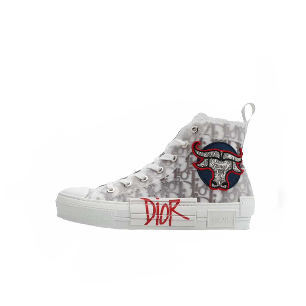 Dior B23 Oblique High Top Shawn Shoes