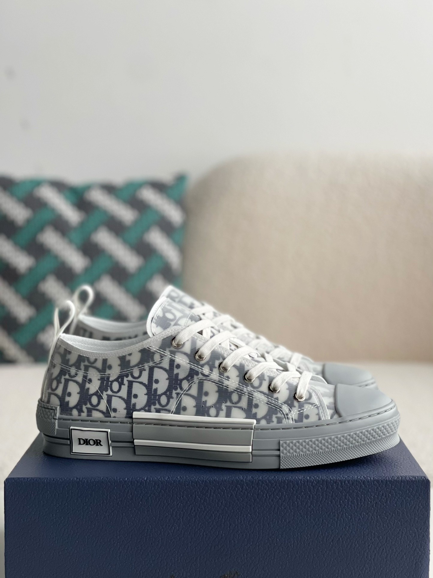 Dior B23 low Sneaker Shoes