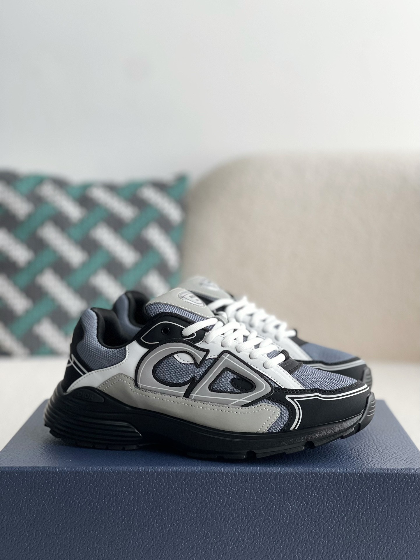 Dior B30 New Sneaker Shoes