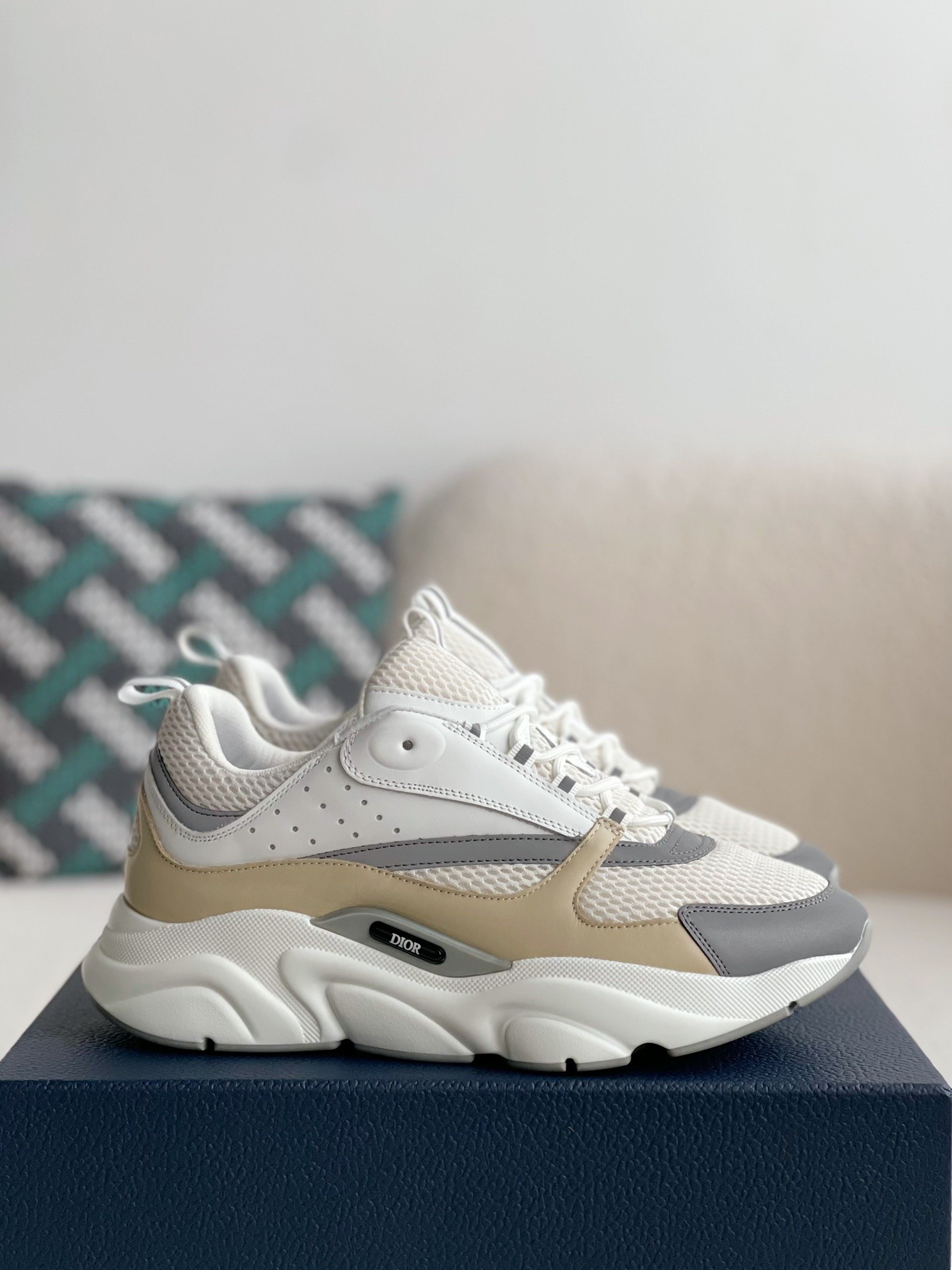 DIOR classic B22 Clunky Sneaker Shoes