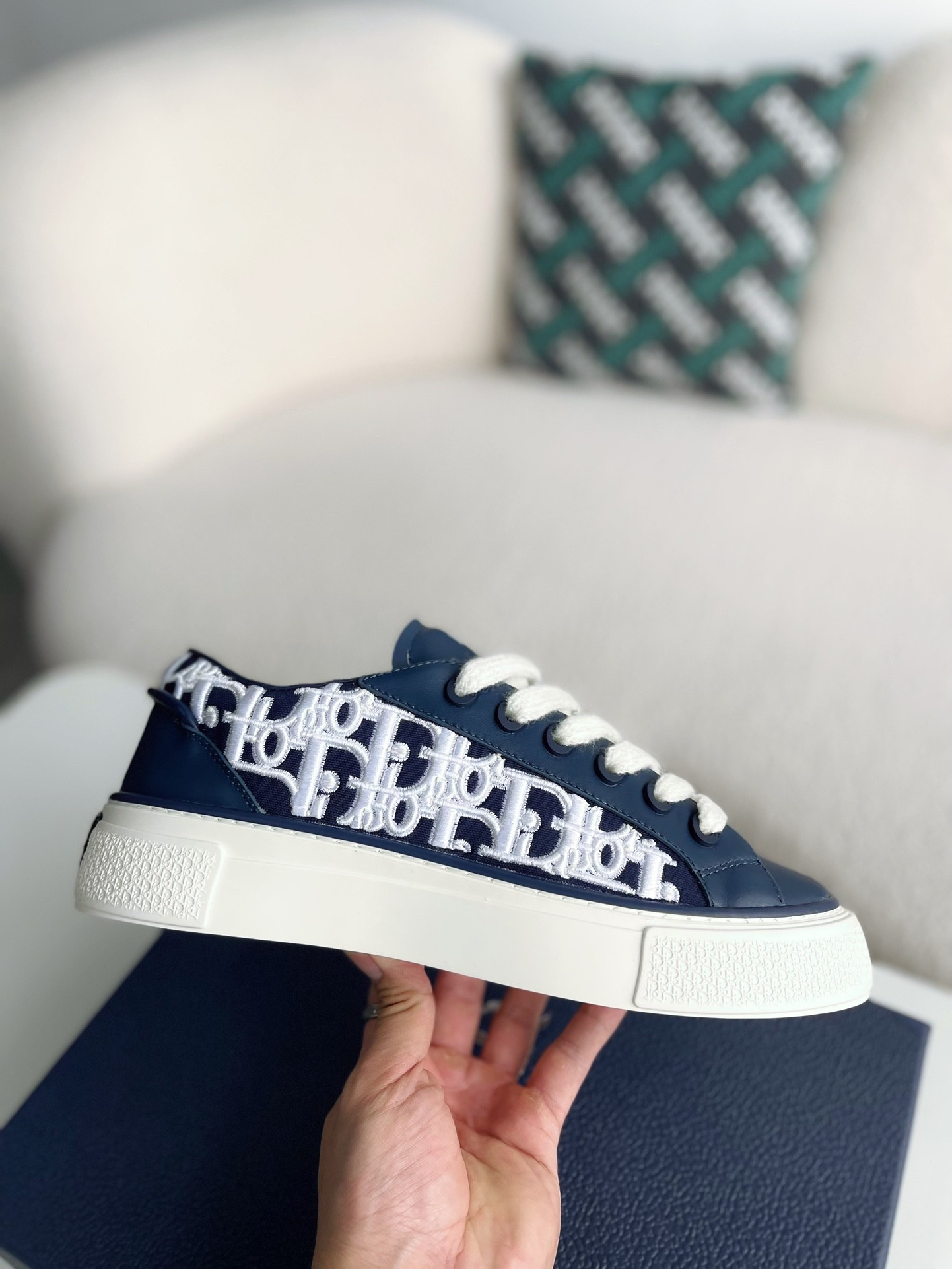 DIOR New B33 Sneaker Shoes