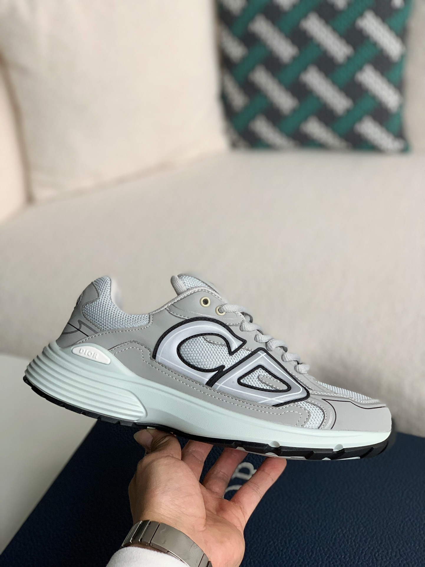 DIOR B30 Clunky Classic Sneaker Shoes