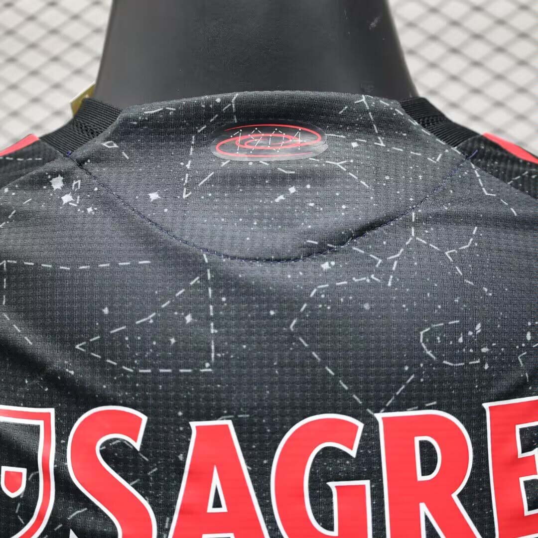 2024/2025 Player Version Benfica Away Football Shirt 1:1 Thai Quality