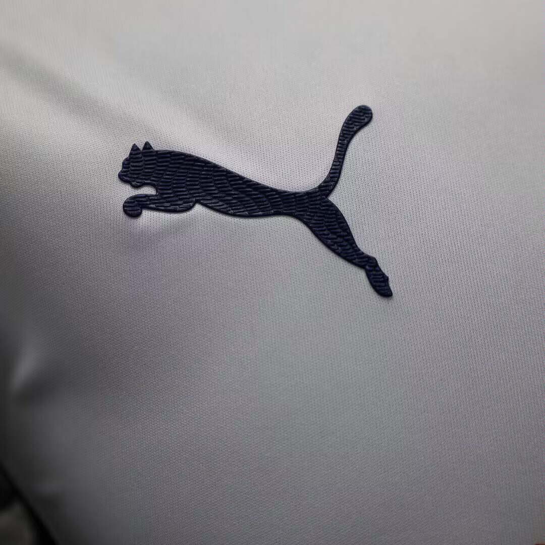 2024/2025 Player Version Chivas Away Soccer Jersey 1:1 Thai Quality