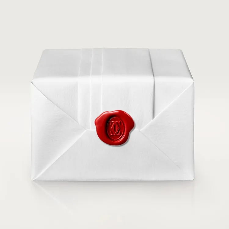 JUSTE UN CLOU NECKLACE