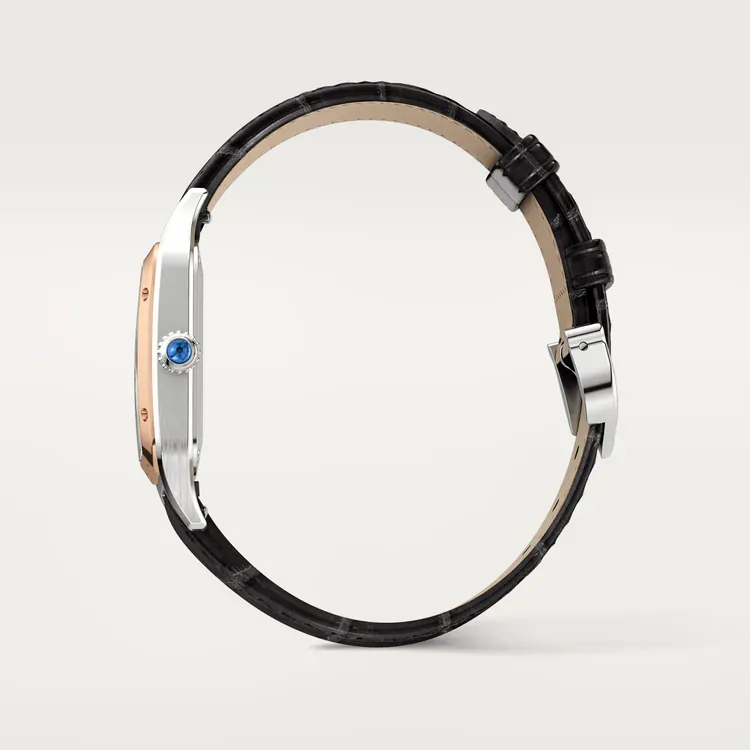 SANTOS-DUMONT Rose Gold MIx 43.5mm