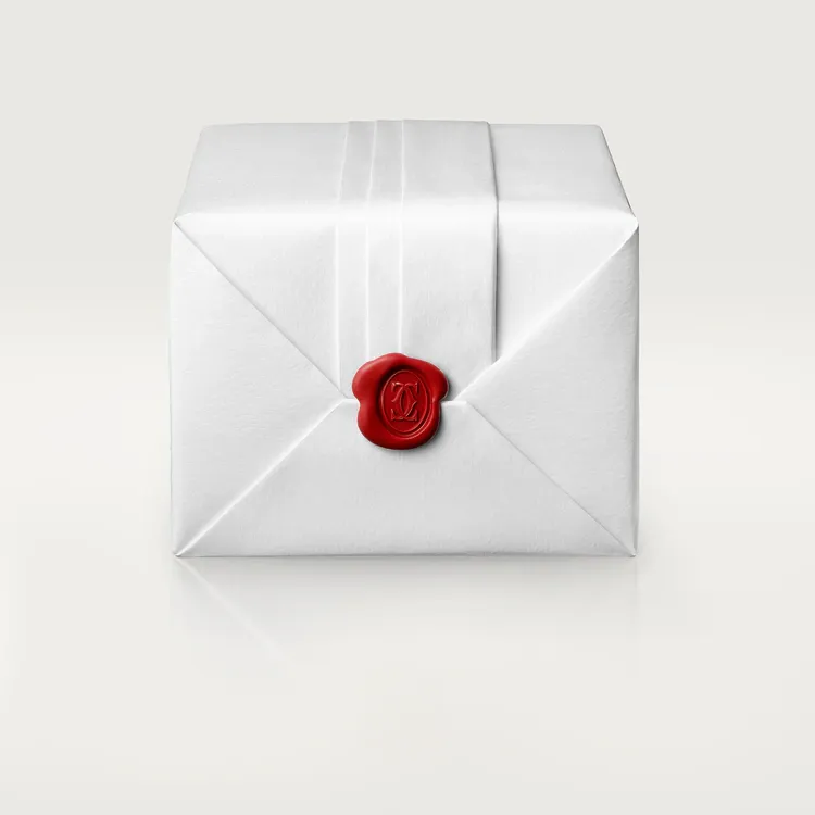 JUSTE UN CLOU EARRINGS