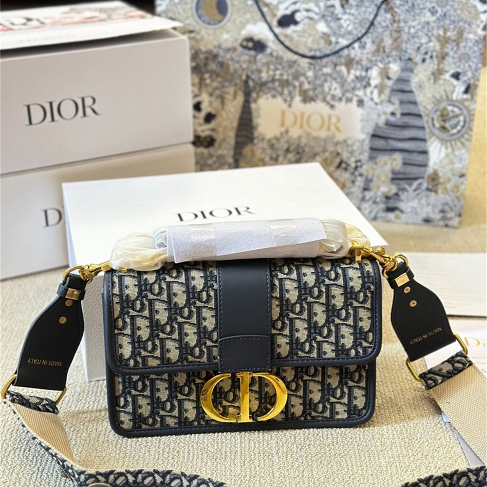 Dior 30 Montaigne East-West Bag with Chain