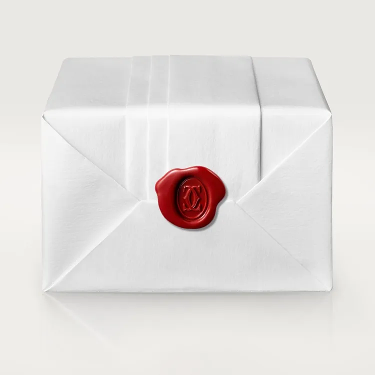 CARTIER D'AMOUR NECKLACE XS