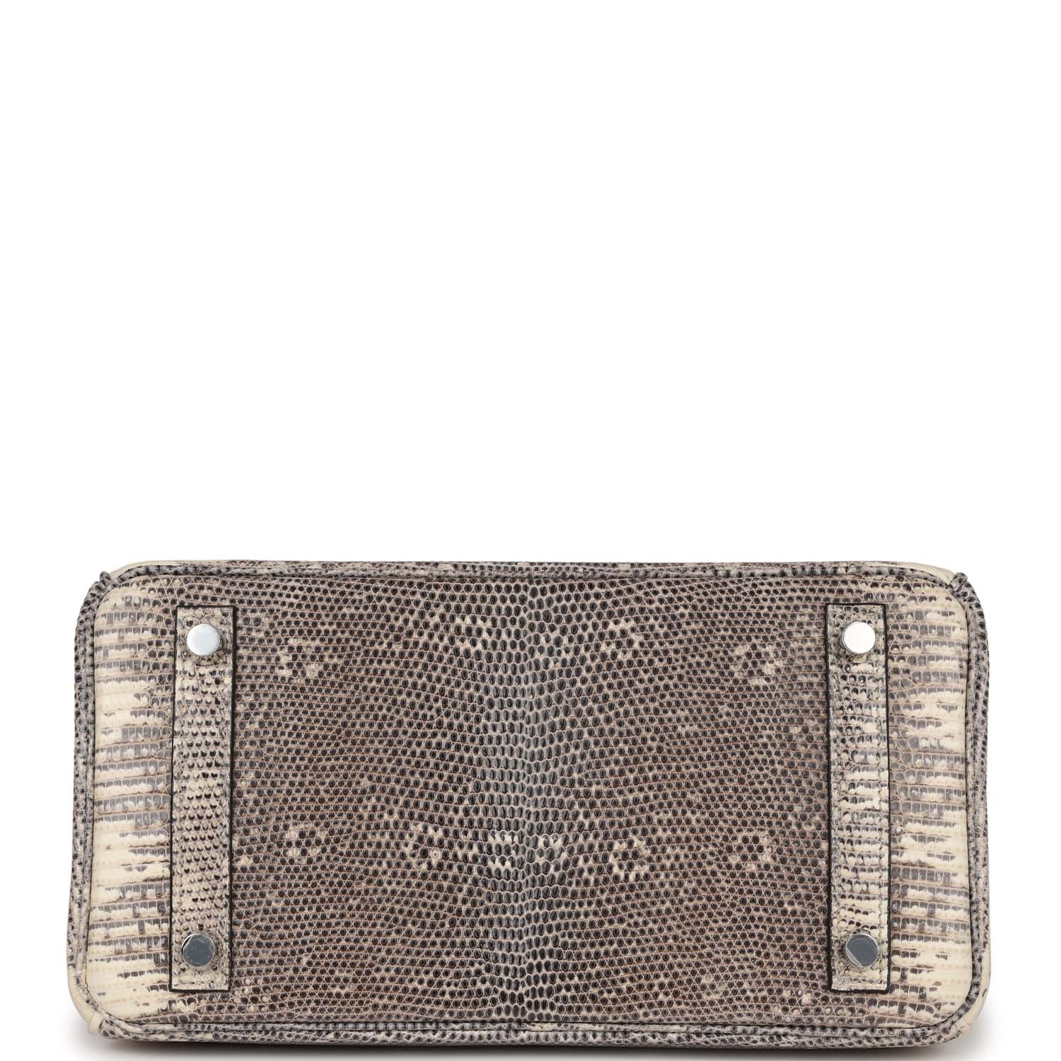 Hermes Birkin 25 Ombre Shiny Salvator Lizard Palladium Hardware