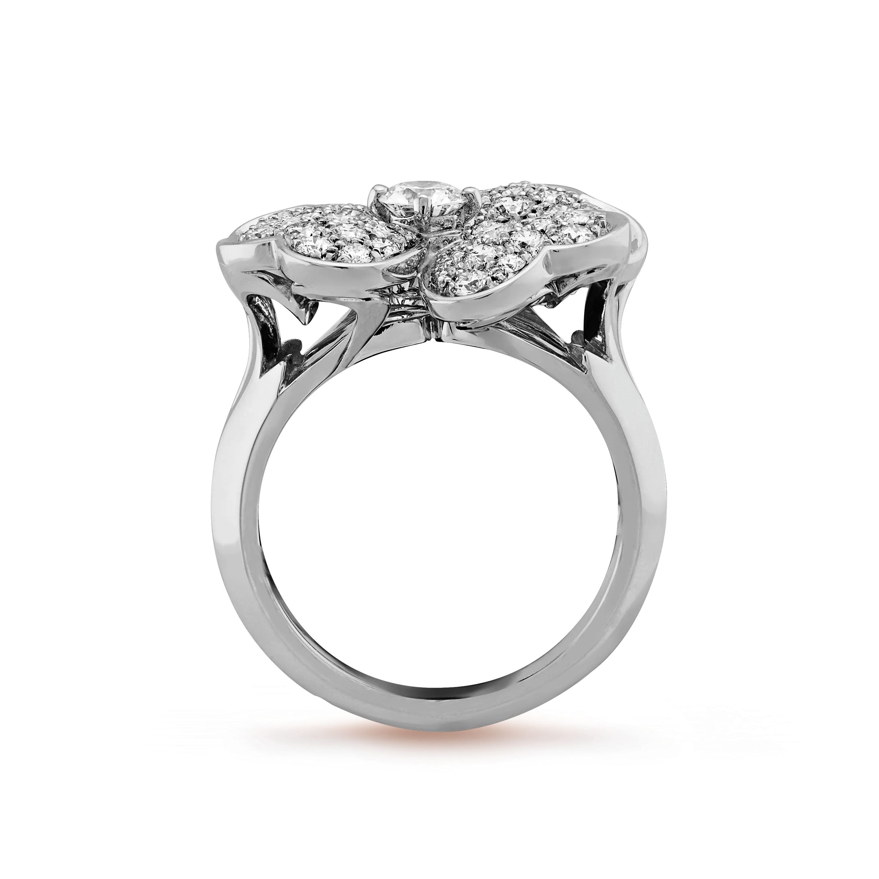 Cosmos medium model ring white gold, Diamond