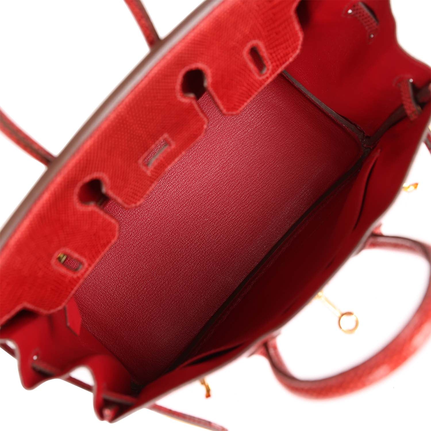 Pre-owned Hermes Birkin 25 Rouge Moyen Salvator Lizard Gold Hardware