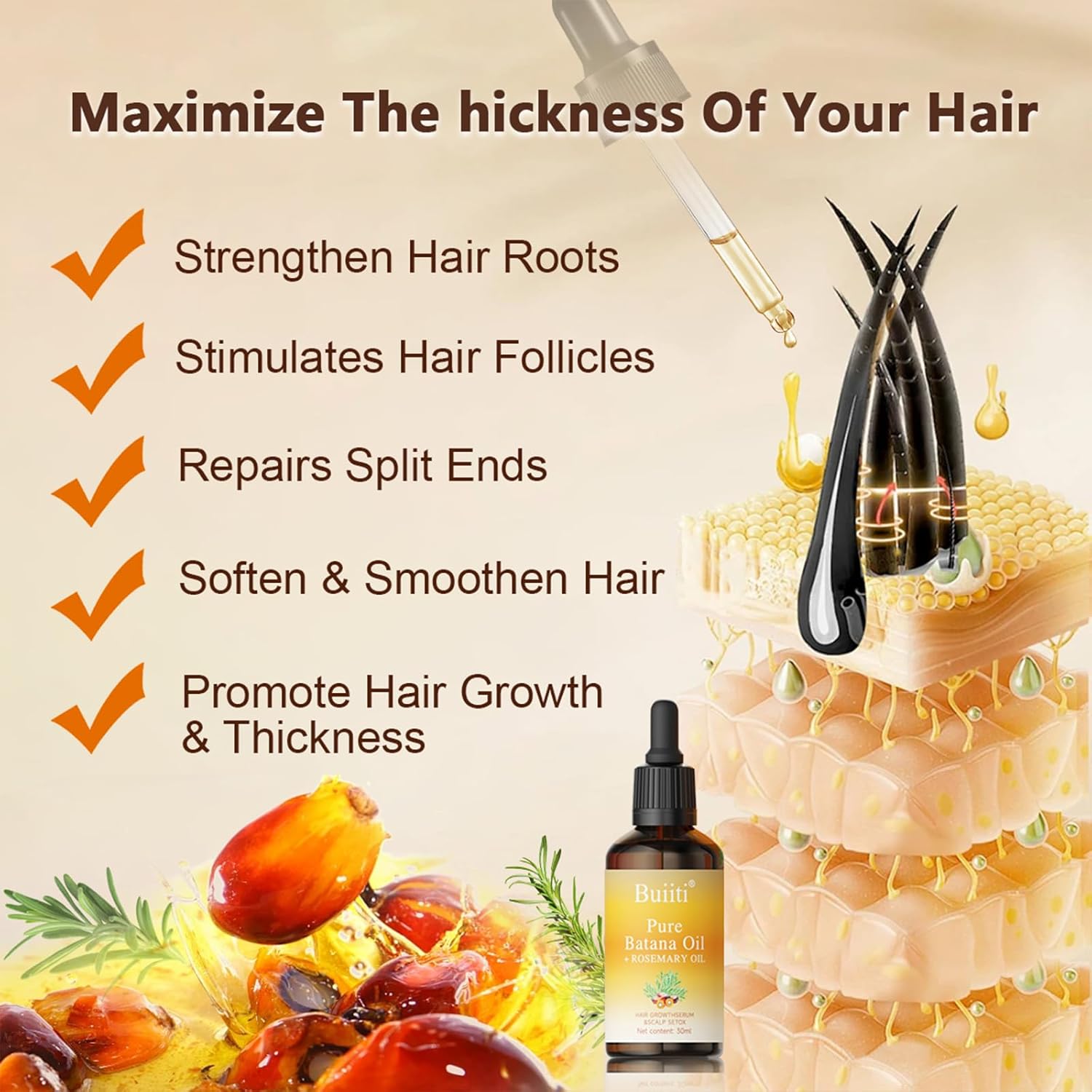 Batana Oil with Rosemary for Hair Growth - 100% Organic from Honduras - Reduce Hair Loss & Detox Your Scalp (30 mL)