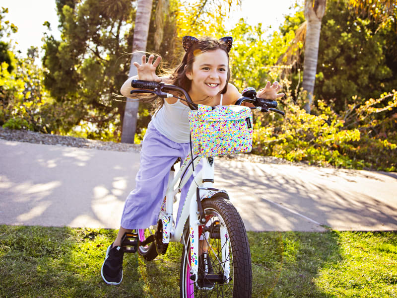 Cat's Meow Sprocket 20