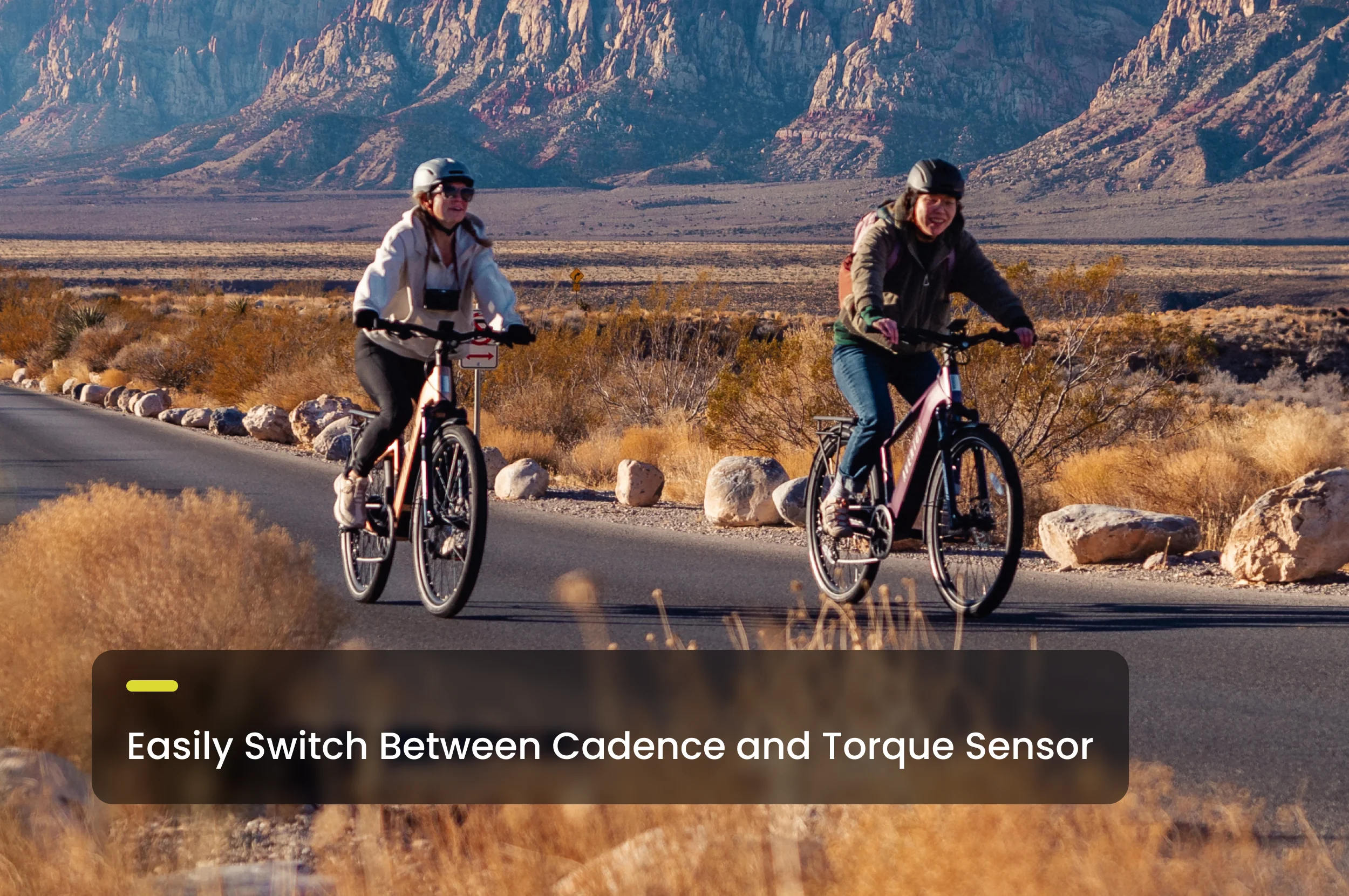 Level 3 Step Through Ebike