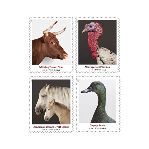 Heritage Breeds 2021