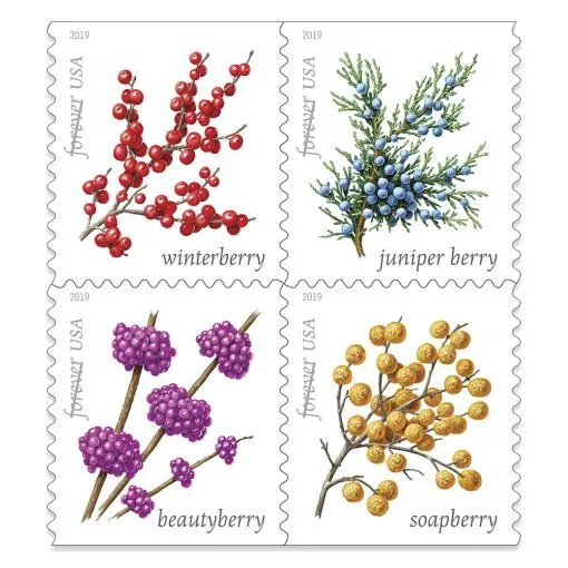 Winter Berries Forever Stamps 2019