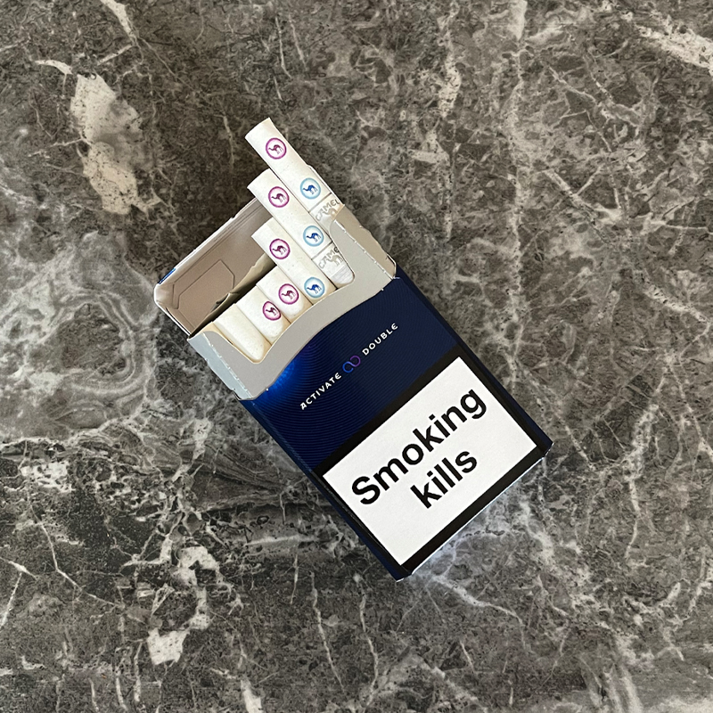 🟠 Camel: Adventure, Freedom, and Timeless Character