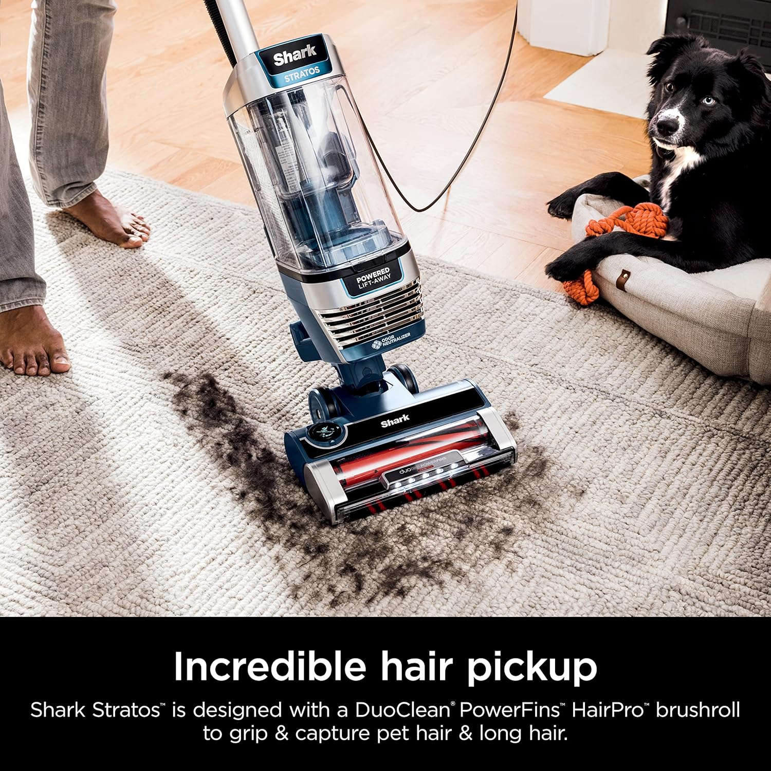 Shark AZ2002 Vertex Powered Lift-Away Upright Vacuum with DuoClean PowerFins, Self-Cleaning Brushroll, Large Dust Cup, Pet Crevice Tool, Dusting Brush & Power Brush, Silver/Rose Gold